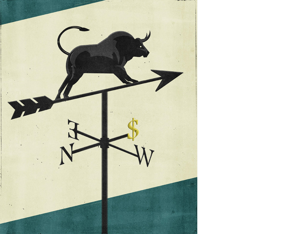 Weather Bull Vane