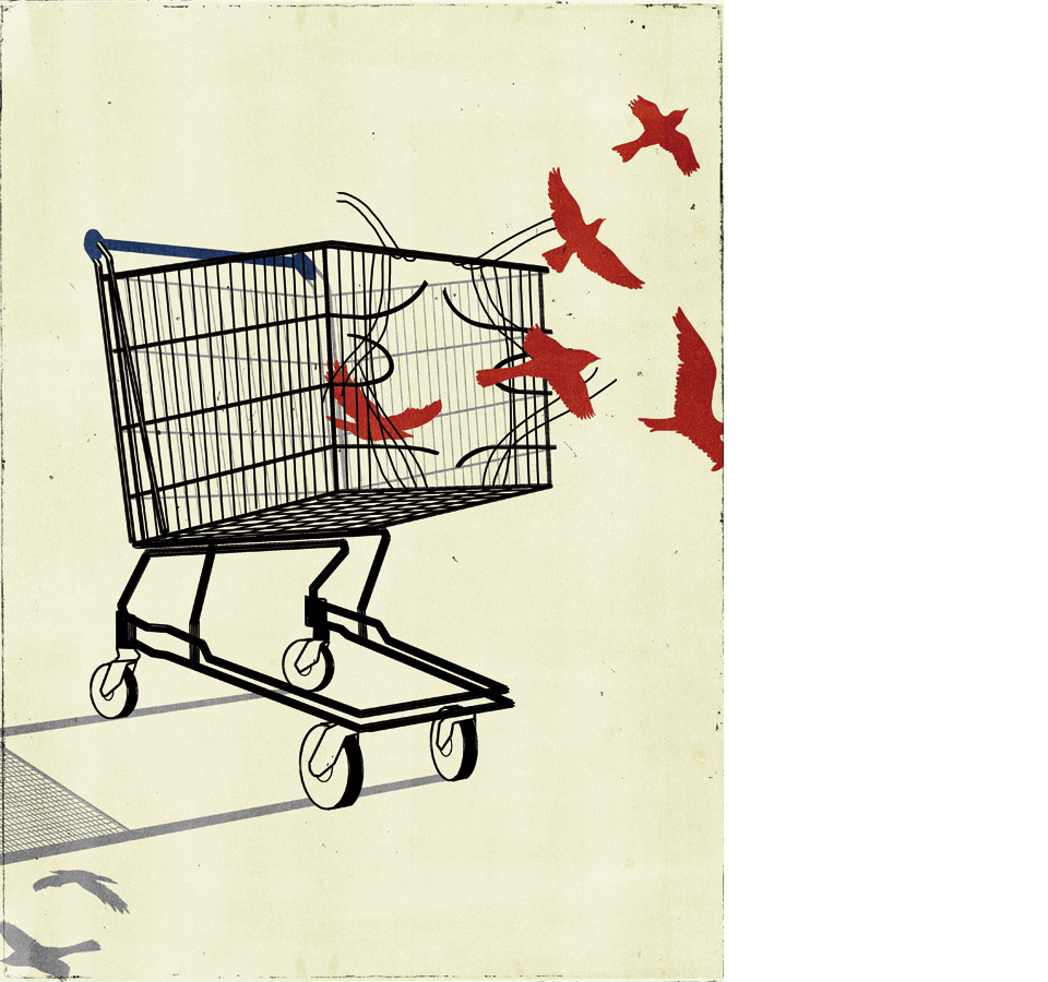 Post Consumerism Society